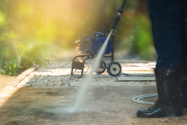 Best Animal Enclosure Cleaning  in Alma, NE